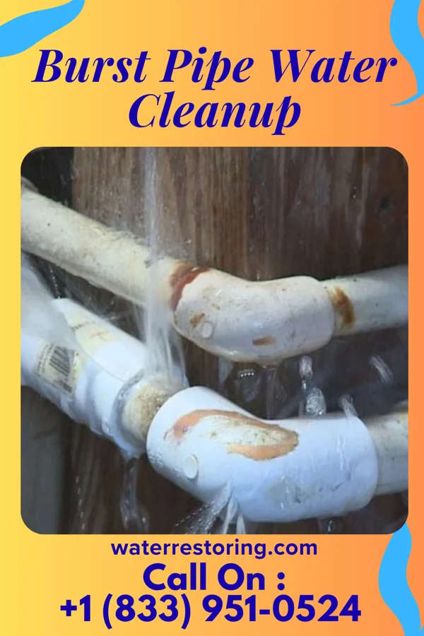 Burst Pipe Water Cleanup in Howard City, MI