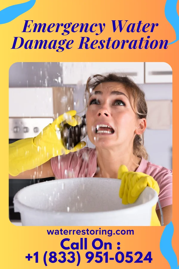 Emergency Water Damage Restoration in Howard City, MI